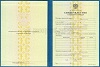 Стоимость Свидетельства о Повышении Квалификации 1997-2018 г. в Коряжме (Архангельская Область)
