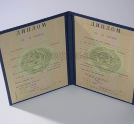 Диплом о Высшем Образовании Туркменской ССР в Архангельске